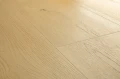 Panele laminowane Pergo Odense Pro dąb przejrzysty