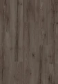 cq5dam web.jpeg
