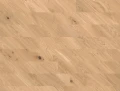 10158511.jpg