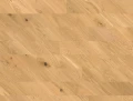 10158506.jpg