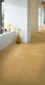 cq5dam web34.jpeg