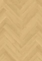 cq5dam web.jpeg