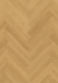 cq5dam web.jpeg