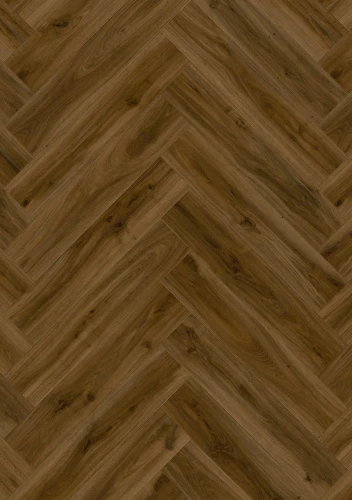 cq5dam web.jpeg