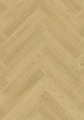 cq5dam web.jpeg