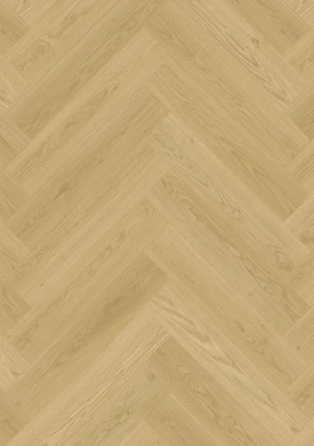 cq5dam web.jpeg