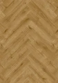 cq5dam web.jpeg